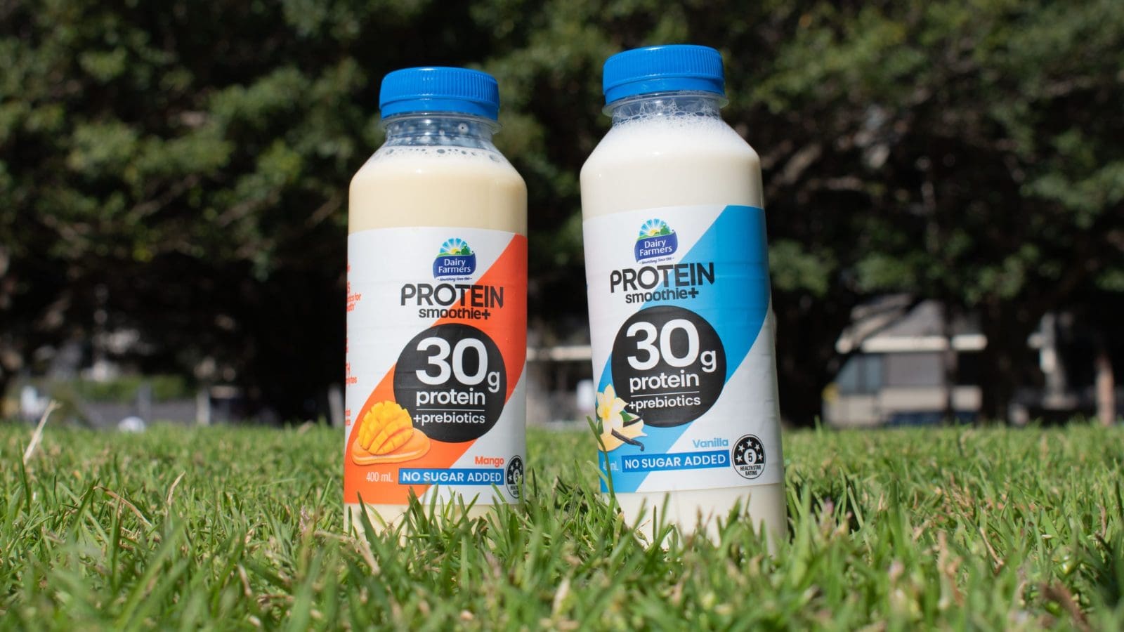 Bega Group expands product line with new functional beverages | Dairy ...